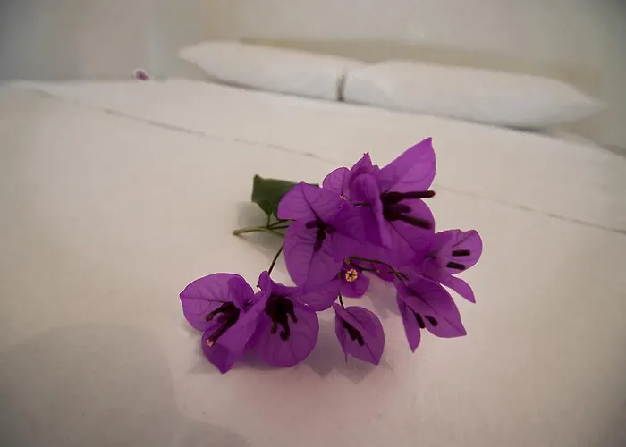 I Sobe Grga *