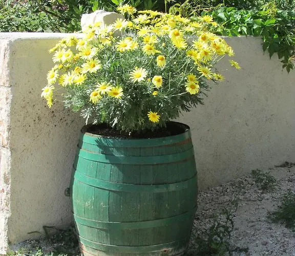 Apartament I Sobe Grga